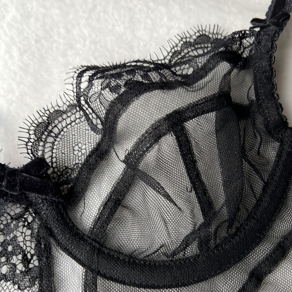 Dita Von Teese Muse Bustiere - Picture 16 of 16